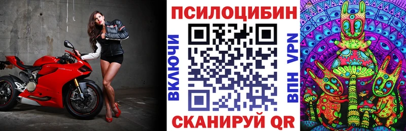 закладка  Устюжна  Псилоцибиновые грибы MAGIC MUSHROOMS 